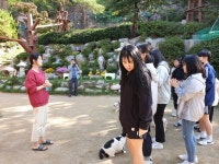 오산 얼리버드 펫케어과, 고양이정원과 동물매개심리치료학회 학술대회... 얼리버드 펫케어과, 고양이정원과 동물매개심리치료학회 학술대회 견학