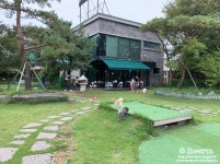 김포 애견카페, 개들의 수다 방문기 - 야호펫 김포 애견카페, 개들의 수다 방문기