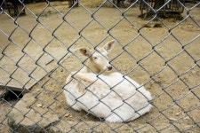 별별여행 > 우치공원 | 별별시장&별별여행 ┃ 여행문화의 새로운 트렌드를 만들다 별별여행 > 우치공원