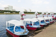 별별여행 > 동촌유원지 | 별별시장&별별여행 ┃ 여행문화의 새로운 트렌드를 만들다 별별여행 > 동촌유원지