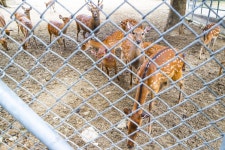 별별여행 > 화원유원지 | 별별시장&별별여행 ┃ 여행문화의 새로운 트렌드를 만들다 별별여행 > 화원유원지