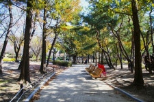 별별여행 > 김해연지공원 | 별별시장&별별여행 ┃ 여행문화의 새로운 트렌드를 만들다 별별여행 > 김해연지공원