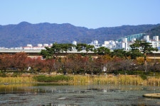 별별여행 > 김해연지공원 | 별별시장&별별여행 ┃ 여행문화의 새로운 트렌드를 만들다 별별여행 > 김해연지공원