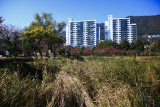 별별여행 > 김해연지공원 | 별별시장&별별여행 ┃ 여행문화의 새로운 트렌드를 만들다 별별여행 > 김해연지공원