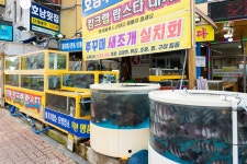 별별여행 추천스토어 > 호남횟집 | 별별시장&별별여행 ┃ 여행문화의 새로운 트렌드를 만들다 별별시장&별별여행 ┃ 여행문화의 새로운 트렌드를... 