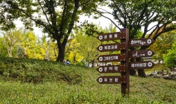 별별여행 > 가산수피아 | 별별시장&별별여행 ┃ 여행문화의 새로운 트렌드를 만들다 별별여행 > 가산수피아