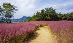 별별여행 > 가산수피아 | 별별시장&별별여행 ┃ 여행문화의 새로운 트렌드를 만들다 별별여행 > 가산수피아