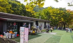 별별여행 > 가산수피아 | 별별시장&별별여행 ┃ 여행문화의 새로운 트렌드를 만들다 별별여행 > 가산수피아