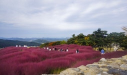 별별여행 > 가산수피아 | 별별시장&별별여행 ┃ 여행문화의 새로운 트렌드를 만들다 별별여행 > 가산수피아
