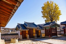 별별여행 > 충렬사 | 별별시장&별별여행 ┃ 여행문화의 새로운 트렌드를 만들다 별별여행 > 충렬사