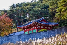 별별여행 > 장무공황형장군유적지 | 별별시장&별별여행 ┃ 여행문화의 새로운 트렌드를 만들다 별별여행 > 장무공황형장군유적지