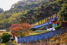 별별여행 > 장무공황형장군유적지 | 별별시장&별별여행 ┃ 여행문화의 새로운 트렌드를 만들다 별별여행 > 장무공황형장군유적지