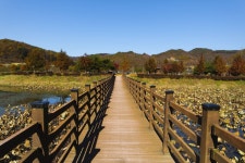 별별여행 > 용담호자연생태습지공원 | 별별시장&별별여행 ┃ 여행문화의 새로운 트렌드를 만들다 별별여행 > 용담호자연생태습지공원