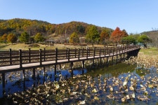 별별여행 > 용담호자연생태습지공원 | 별별시장&별별여행 ┃ 여행문화의 새로운 트렌드를 만들다 별별여행 > 용담호자연생태습지공원