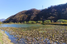 별별여행 > 용담호자연생태습지공원 | 별별시장&별별여행 ┃ 여행문화의 새로운 트렌드를 만들다 별별여행 > 용담호자연생태습지공원