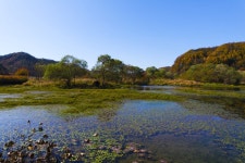 별별여행 > 용담호자연생태습지공원 | 별별시장&별별여행 ┃ 여행문화의 새로운 트렌드를 만들다 별별여행 > 용담호자연생태습지공원