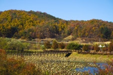 별별여행 > 용담호자연생태습지공원 | 별별시장&별별여행 ┃ 여행문화의 새로운 트렌드를 만들다 별별여행 > 용담호자연생태습지공원