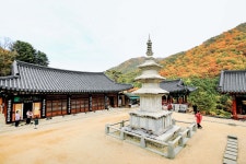 별별여행 > 구룡사 | 별별시장&별별여행 ┃ 여행문화의 새로운 트렌드를 만들다 별별여행 > 구룡사