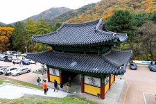 별별여행 > 구룡사 | 별별시장&별별여행 ┃ 여행문화의 새로운 트렌드를 만들다 별별여행 > 구룡사