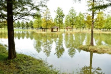 별별여행 > 메타세콰이아가로수길 | 별별시장&별별여행 ┃ 여행문화의 새로운 트렌드를 만들다 별별여행 > 메타세콰이아가로수길