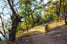 별별여행 > 대창들공원 | 별별시장&별별여행 ┃ 여행문화의 새로운 트렌드를 만들다 별별여행 > 대창들공원