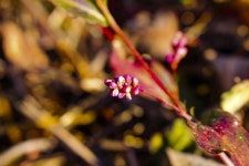 별별여행 > 대창들공원 | 별별시장&별별여행 ┃ 여행문화의 새로운 트렌드를 만들다 별별여행 > 대창들공원