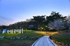 별별여행 > 북서울꿈의숲(야경) | 별별시장&별별여행 ┃ 여행문화의 새로운 트렌드를 만들다 별별여행 > 북서울꿈의숲(야경)