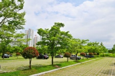 별별여행 > 화명생태공원 | 별별시장&별별여행 ┃ 여행문화의 새로운 트렌드를 만들다 별별여행 > 화명생태공원