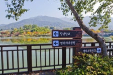 별별여행 > 명덕수변생태공원 | 별별시장&별별여행 ┃ 여행문화의 새로운 트렌드를 만들다 별별여행 > 명덕수변생태공원