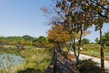 별별여행 > 명덕수변생태공원 | 별별시장&별별여행 ┃ 여행문화의 새로운 트렌드를 만들다 별별여행 > 명덕수변생태공원