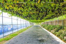 별별여행 > 농심테마공원 | 별별시장&별별여행 ┃ 여행문화의 새로운 트렌드를 만들다 별별여행 > 농심테마공원