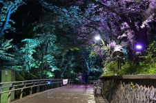 별별여행 > 차이나타운(야경) | 별별시장&별별여행 ┃ 여행문화의 새로운 트렌드를 만들다 별별여행 > 차이나타운(야경)