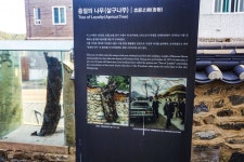 별별여행 > 청운각 | 별별시장&별별여행 ┃ 여행문화의 새로운 트렌드를 만들다 별별여행 > 청운각