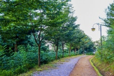 별별여행 > 안산시민공원 | 별별시장&별별여행 ┃ 여행문화의 새로운 트렌드를 만들다 별별여행 > 안산시민공원