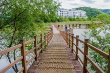 별별여행 > 정양늪생태공원 | 별별시장&별별여행 ┃ 여행문화의 새로운 트렌드를 만들다 별별여행 > 정양늪생태공원