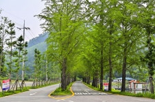 별별여행 > 문광저수지 | 별별시장&별별여행 ┃ 여행문화의 새로운 트렌드를 만들다 별별여행 > 문광저수지