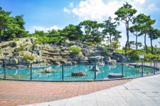 별별여행 > 문암생태공원 | 별별시장&별별여행 ┃ 여행문화의 새로운 트렌드를 만들다 별별여행 > 문암생태공원