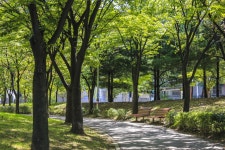 별별여행 > 석호공원 | 별별시장&별별여행 ┃ 여행문화의 새로운 트렌드를 만들다 별별여행 > 석호공원