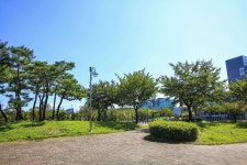 별별여행 > 석호공원 | 별별시장&별별여행 ┃ 여행문화의 새로운 트렌드를 만들다 별별여행 > 석호공원