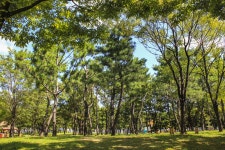 별별여행 > 석호공원 | 별별시장&별별여행 ┃ 여행문화의 새로운 트렌드를 만들다 별별여행 > 석호공원