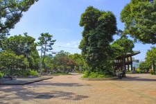 별별여행 > 청주중앙공원 | 별별시장&별별여행 ┃ 여행문화의 새로운 트렌드를 만들다 별별여행 > 청주중앙공원