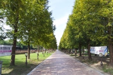 별별여행 > 초전공원 | 별별시장&별별여행 ┃ 여행문화의 새로운 트렌드를 만들다 별별여행 > 초전공원