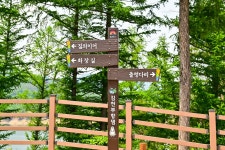 별별여행 > 부항댐출렁다리 | 별별시장&별별여행 ┃ 여행문화의 새로운 트렌드를 만들다 별별여행 > 부항댐출렁다리
