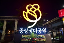 별별여행 > 중랑장미공원(야경) | 별별시장&별별여행 ┃ 여행문화의 새로운 트렌드를 만들다 별별여행 > 중랑장미공원(야경)