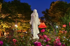 별별여행 > 중랑장미공원(야경) | 별별시장&별별여행 ┃ 여행문화의 새로운 트렌드를 만들다 별별여행 > 중랑장미공원(야경)