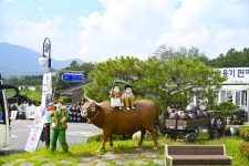 별별여행 > 외고산옹기마을 | 별별시장&별별여행 ┃ 여행문화의 새로운 트렌드를 만들다 별별여행 > 외고산옹기마을