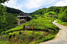 별별여행 > 도심다원 | 별별시장&별별여행 ┃ 여행문화의 새로운 트렌드를 만들다 별별여행 > 도심다원