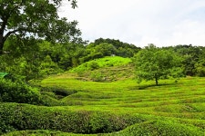 별별여행 > 도심다원 | 별별시장&별별여행 ┃ 여행문화의 새로운 트렌드를 만들다 별별여행 > 도심다원