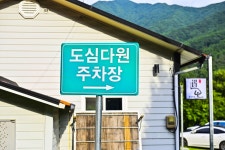 별별여행 > 도심다원 | 별별시장&별별여행 ┃ 여행문화의 새로운 트렌드를 만들다 별별여행 > 도심다원