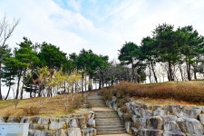 별별여행 > 해맞이공원 | 별별시장&별별여행 ┃ 여행문화의 새로운 트렌드를 만들다 별별여행 > 해맞이공원
